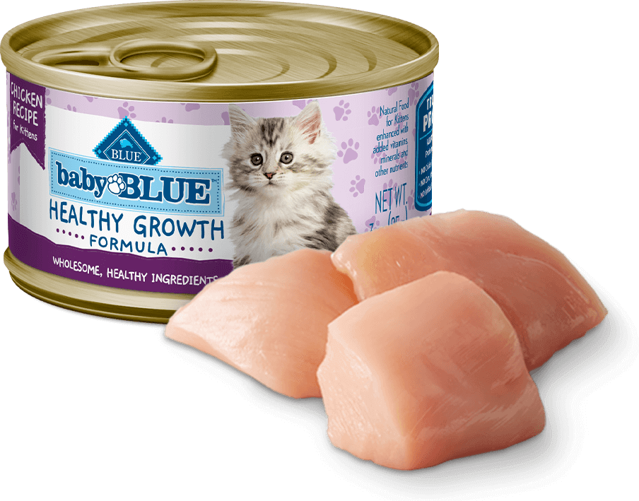 BLUE Buffalo Baby Chicken Recipe - Kitten